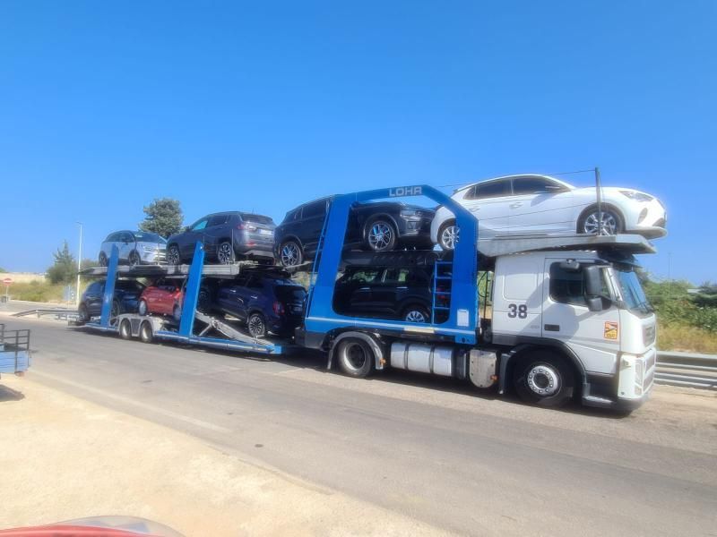 Zichella trasporti - Foggia