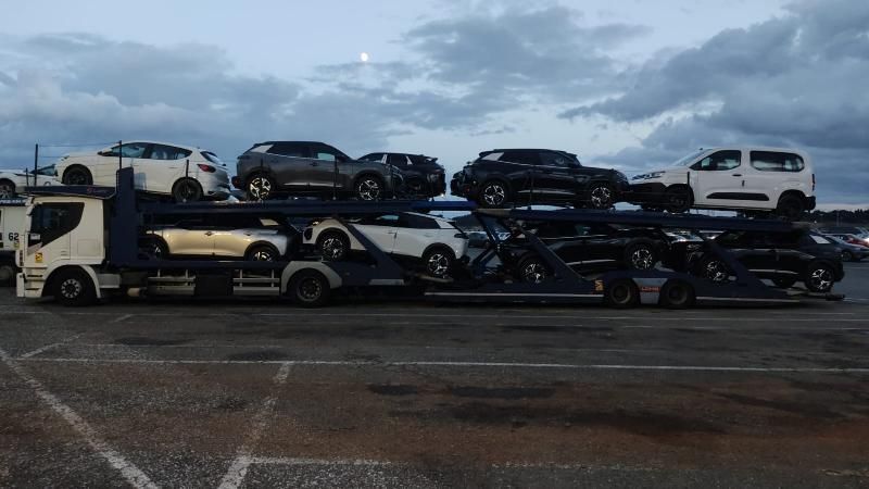 Zichella trasporti - Foggia