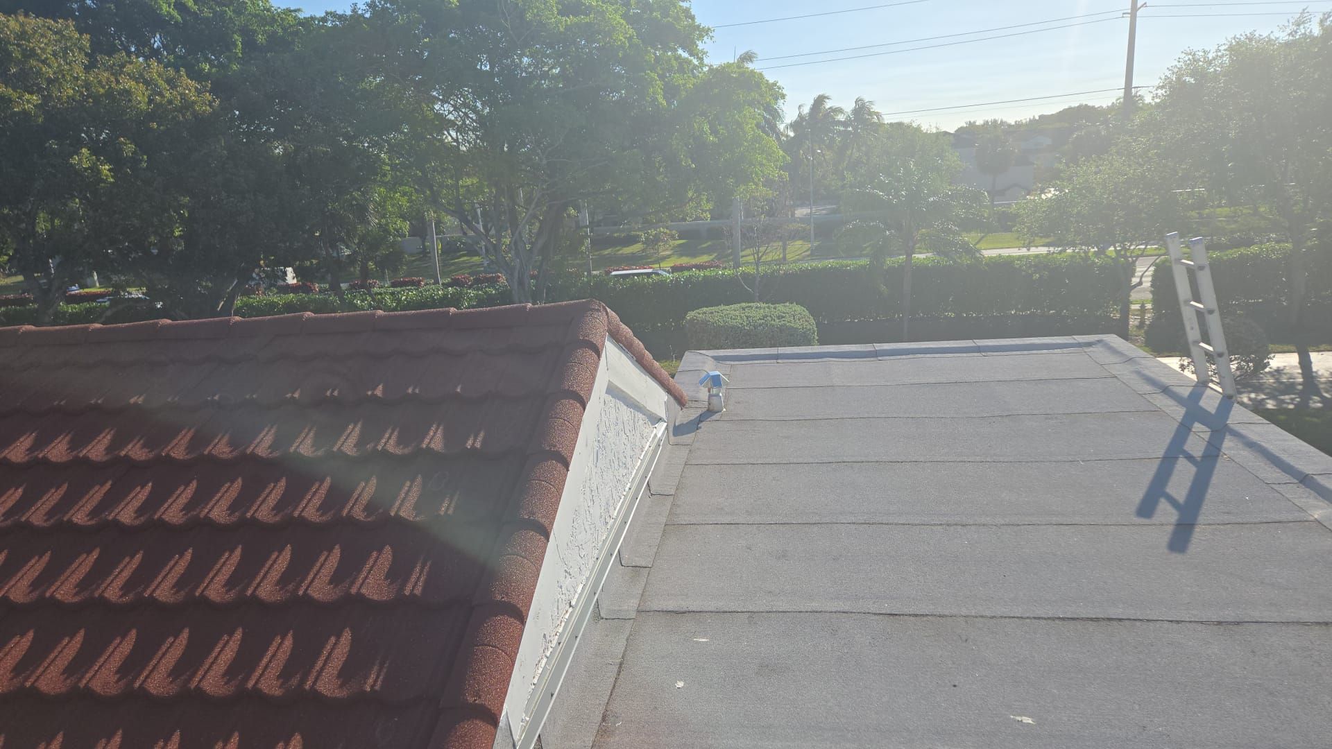 A rooftop with red tile on the left and flat gray surface on the right, with a ladder. 