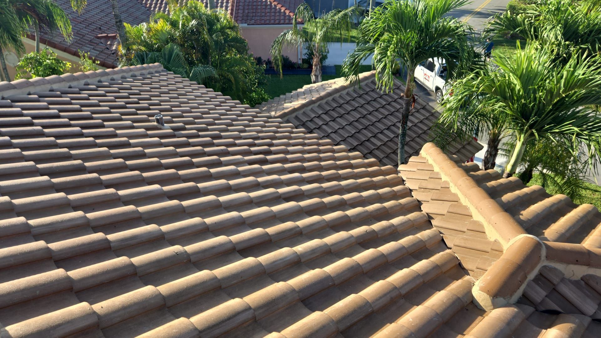 Clay tile roof with light brown tiles. Palm trees and other houses visible in the background.
