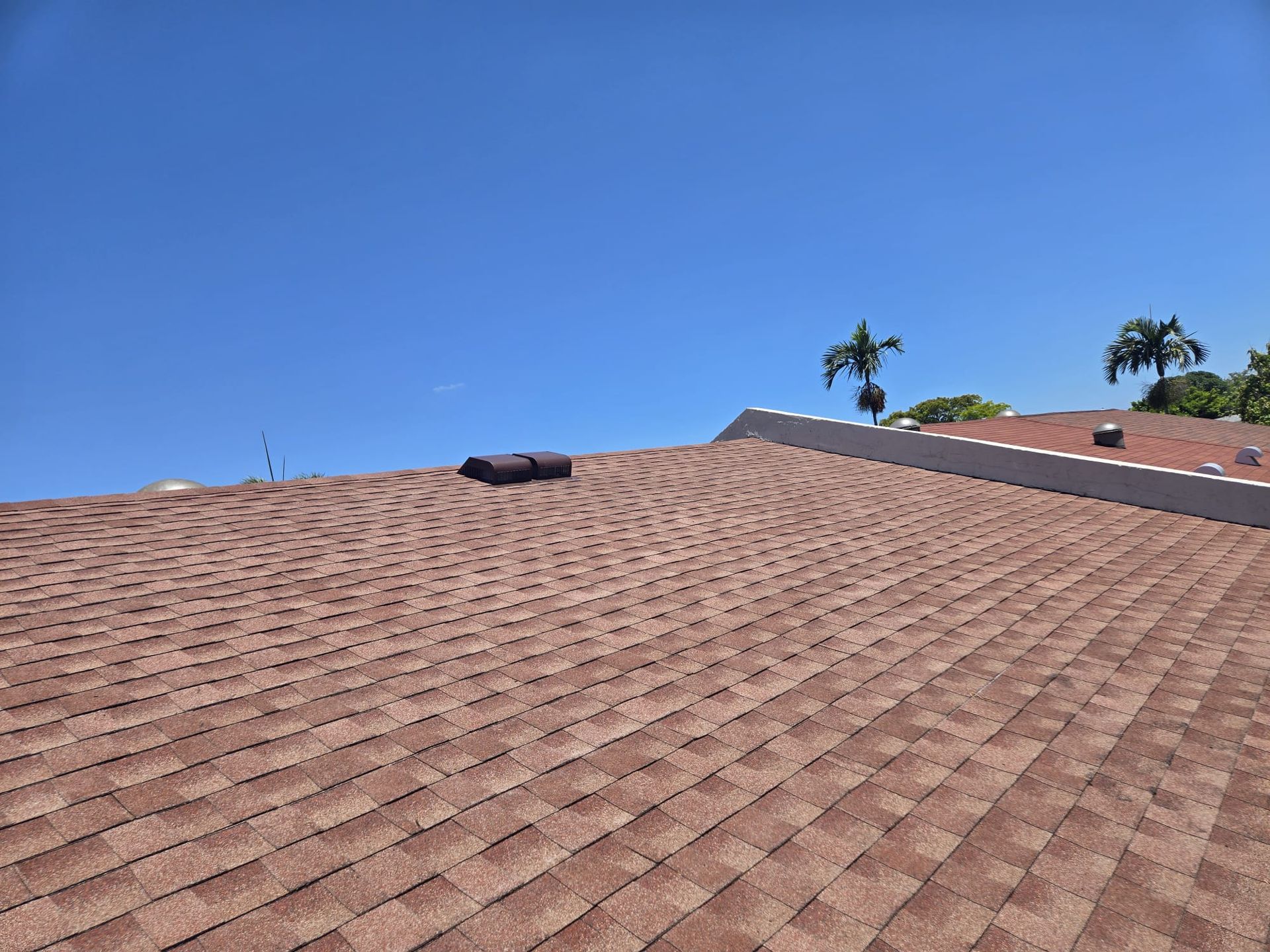 Brown shingled roof against a clear blue sky with palm trees in the distance.