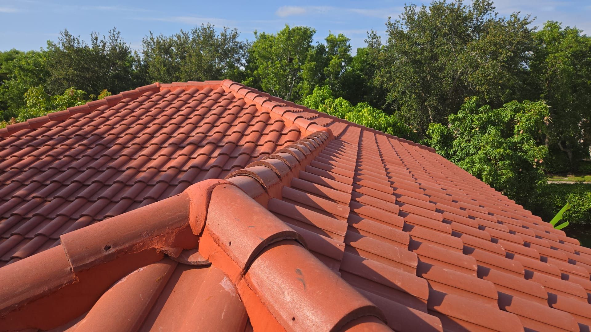 Red clay tile roof with a ridgeline, trees in the background against a blue sky.