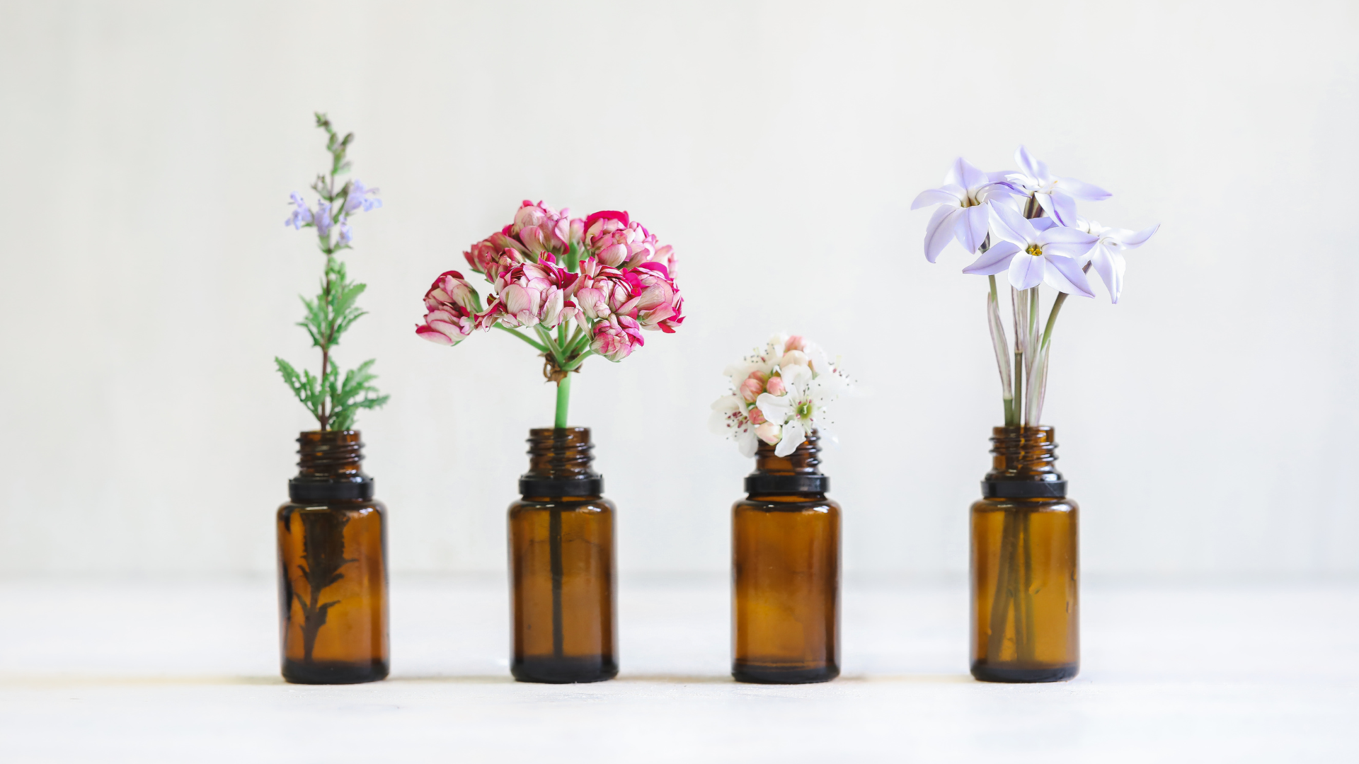 A Guide to Essential Oils