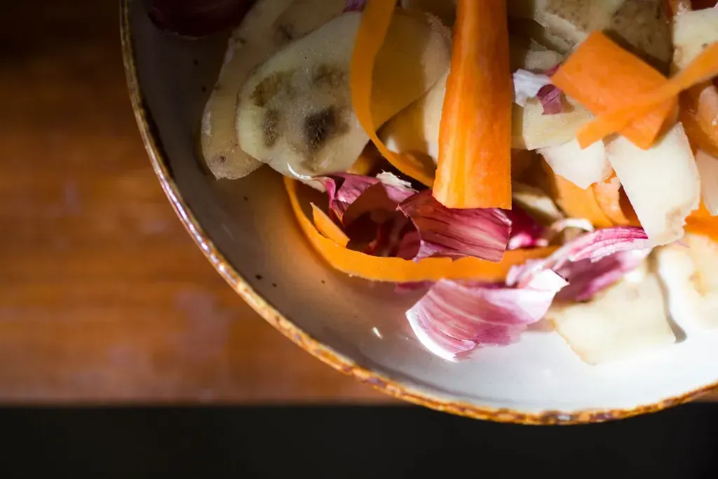 bowl of vegetable scraps