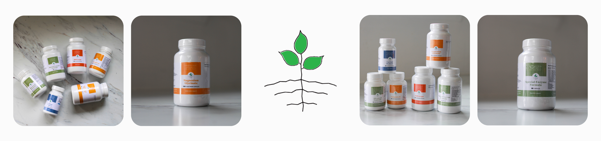 Jo Anne's Place professional supplements