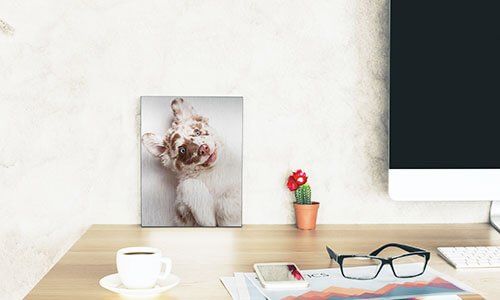 metal print of a puppy on a desktop