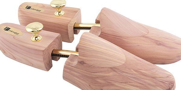 a pair of shoe shapers