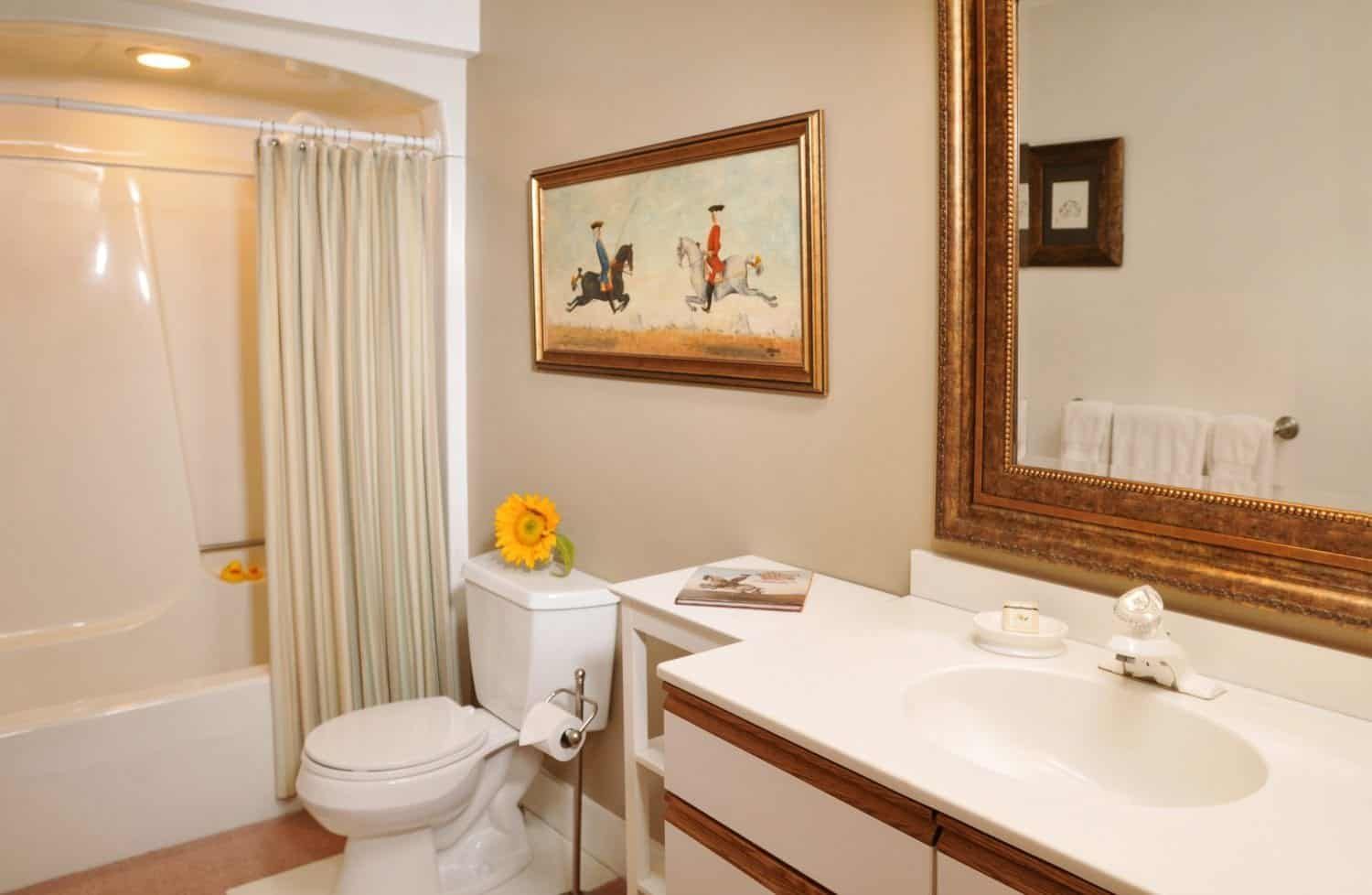 A bathroom with a toilet , sink , and mirror.