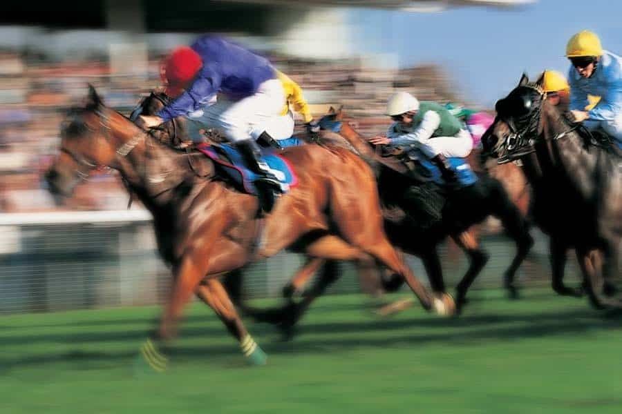 A group of horses and jockeys are racing on a track.