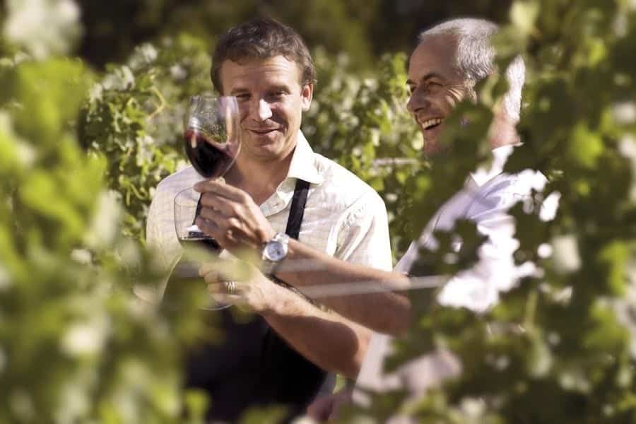 Two men are standing in a vineyard holding glasses of wine.