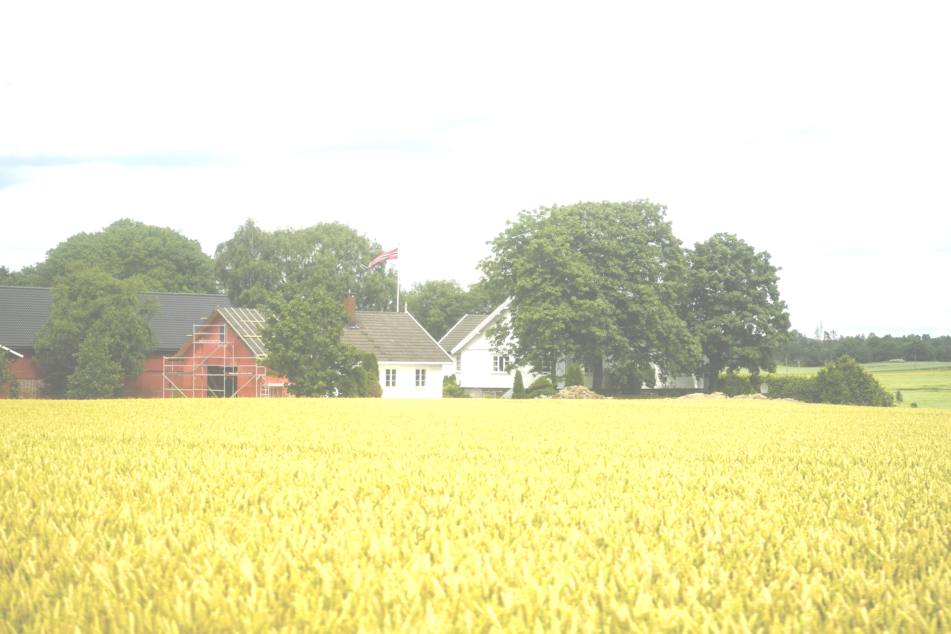 Old farmhouse in a beautiful field