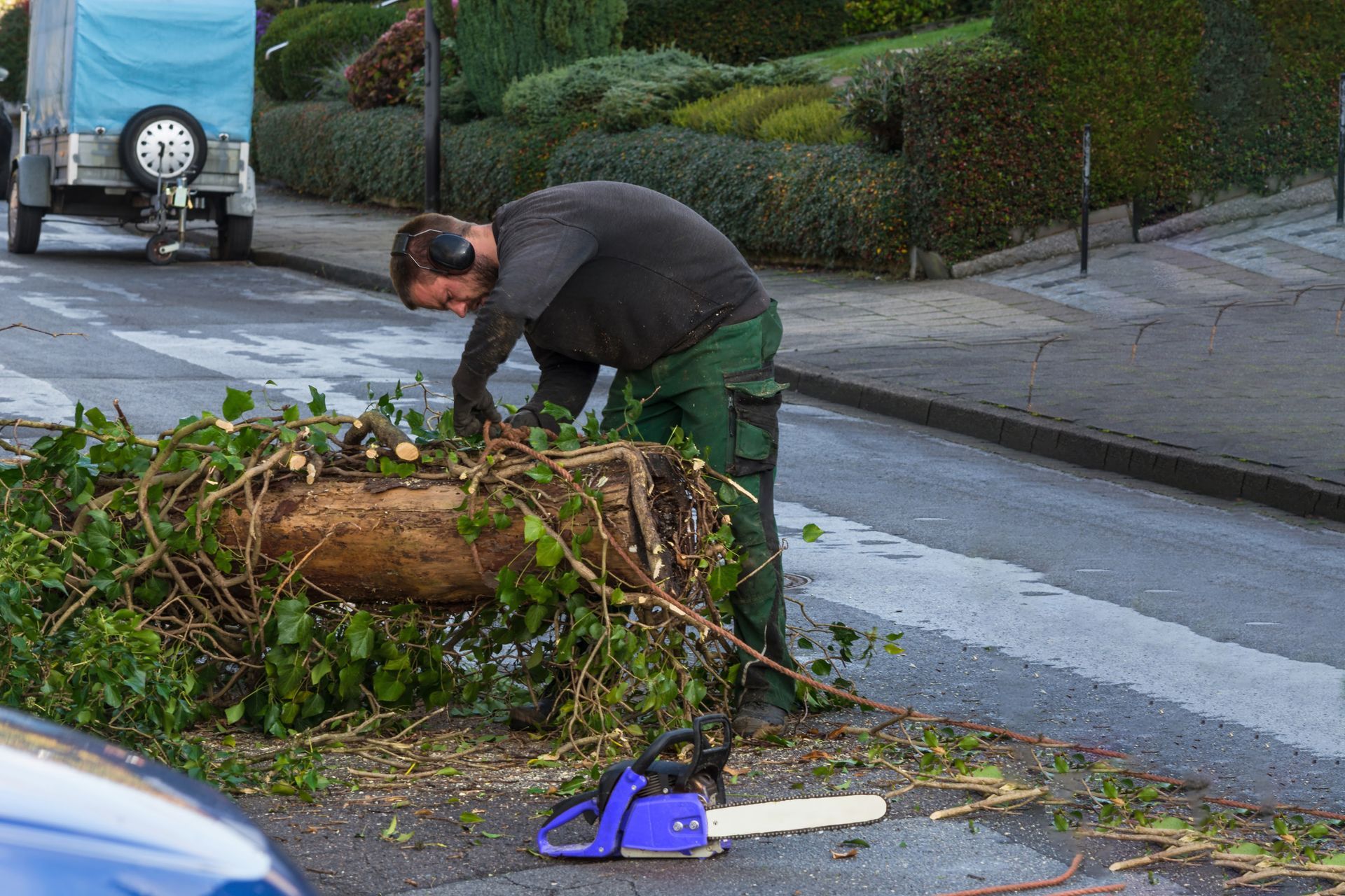 A person in work gear trims branches from a fallen tree trunk on a street, with a blue chainsaw on the ground nearby.