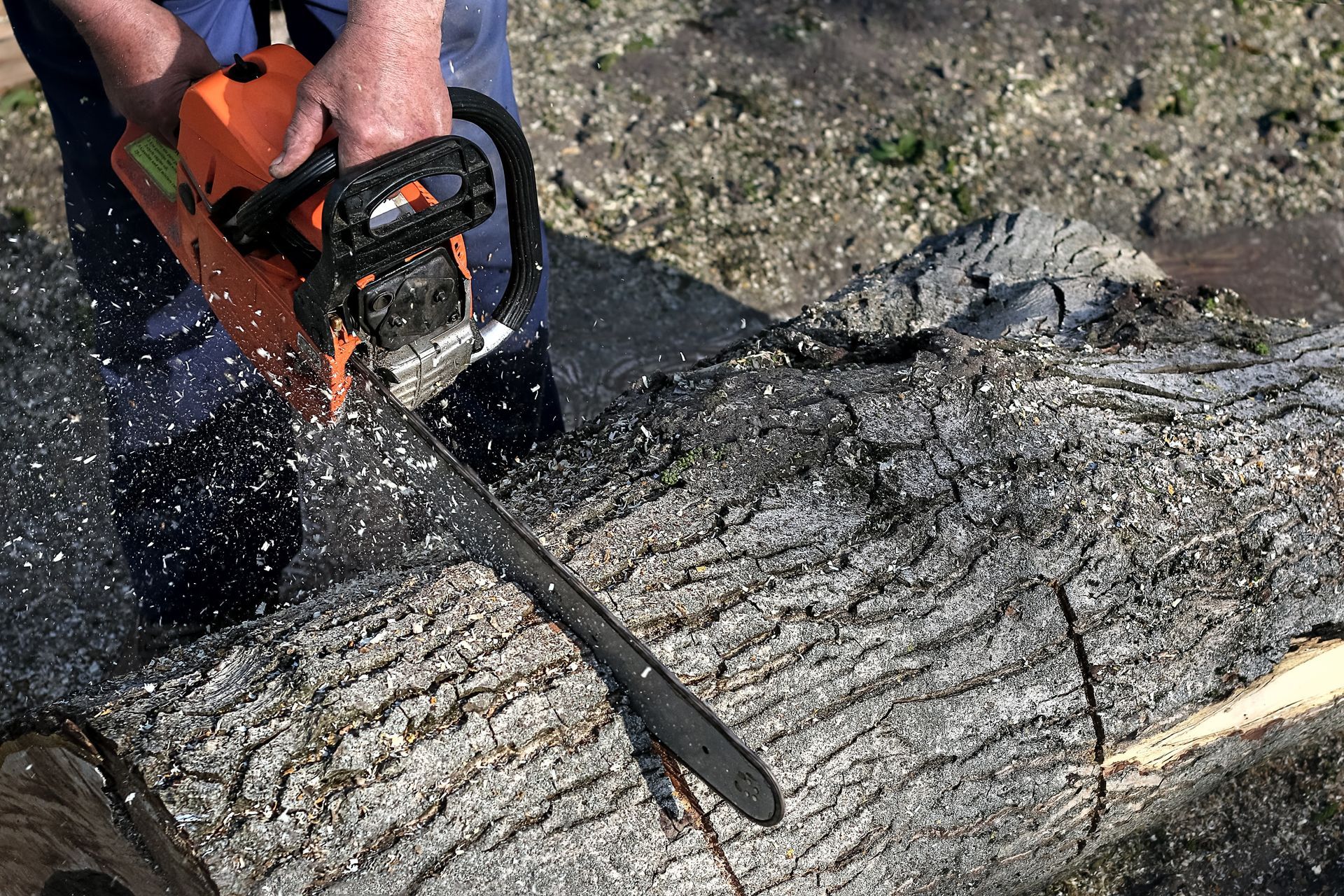 A person uses an orange chainsaw to cut into a large, textured tree log, creating wood chips.