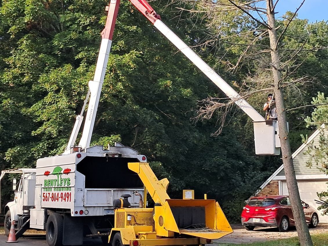 A tree service bucket truck with an attached wood chipper, parked on a residential street near a red car and trees.