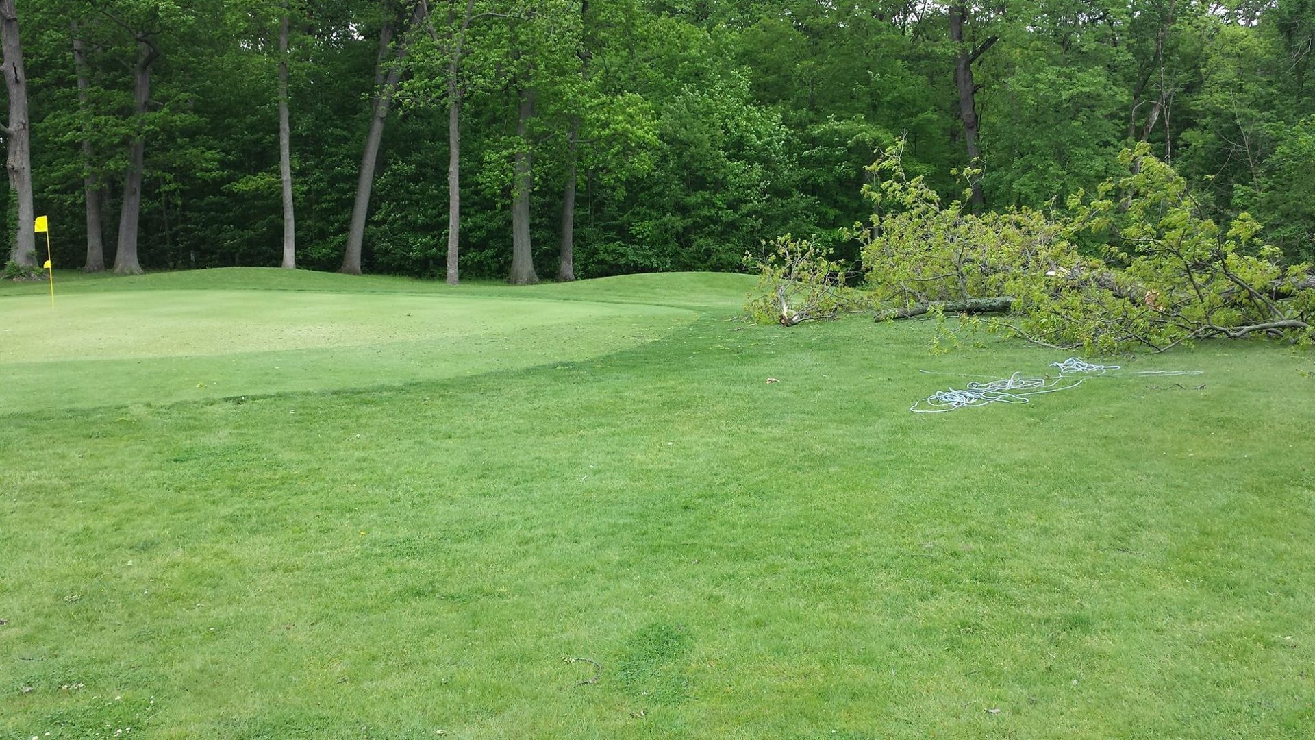 A golf course green with a yellow flag and a fallen tree limb resting on the grass nearby.