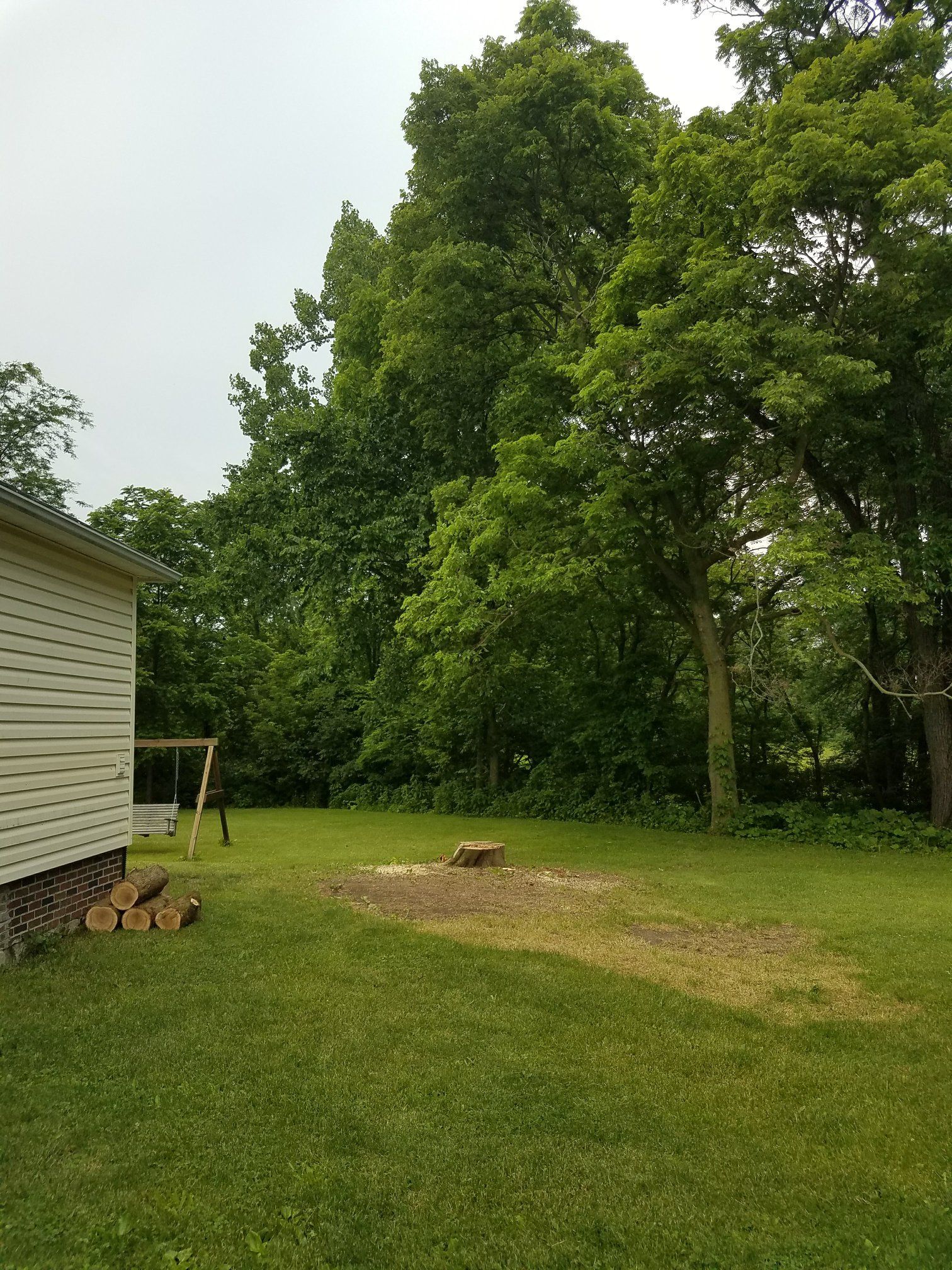 A residential backyard with a tree stump, green grass, a swing set, and tall trees next to the side of a house.