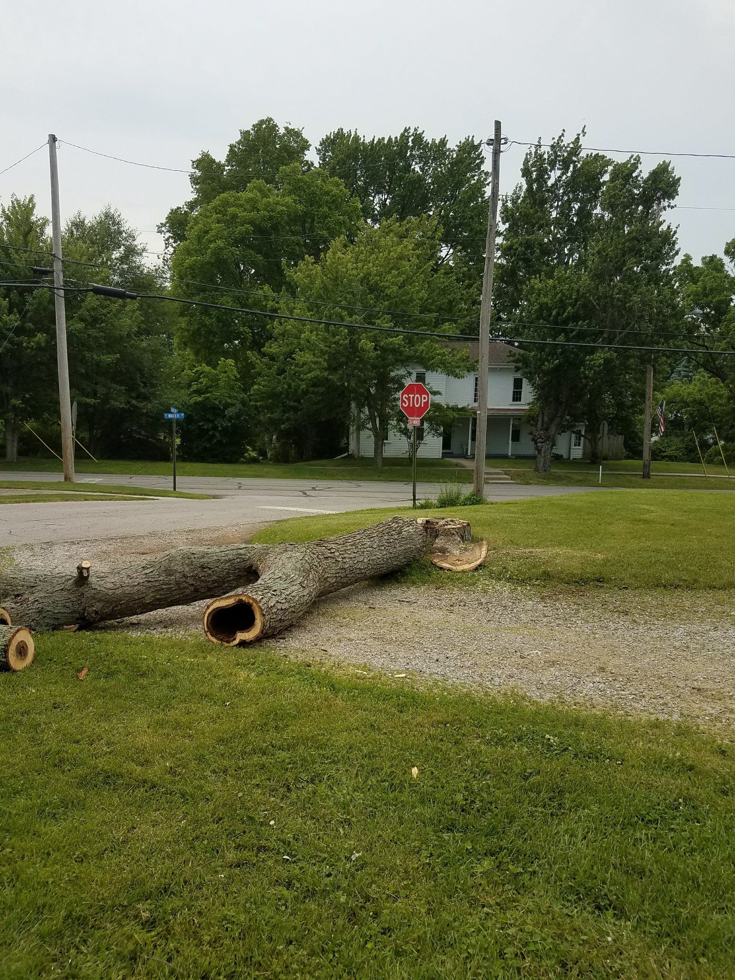 A large, hollowed-out tree log lies on a grassy lawn near a stop sign and a white two-story house.