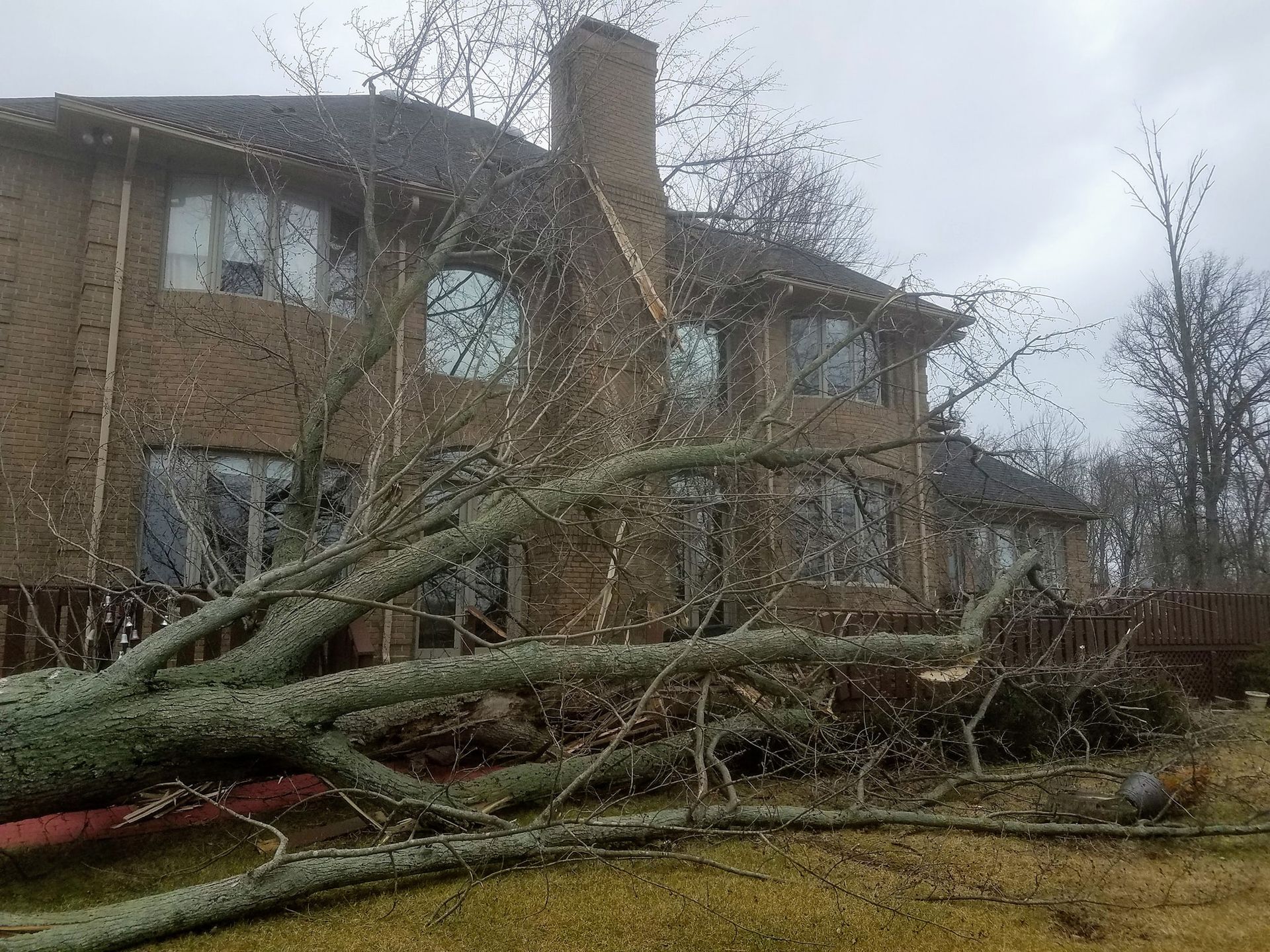 A large tree has fallen across a lawn in front of a two-story brick house on an overcast day.