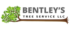 Logo for Bentley’s Tree Service LLC featuring a stylized green tree with a long horizontal trunk as an underline.