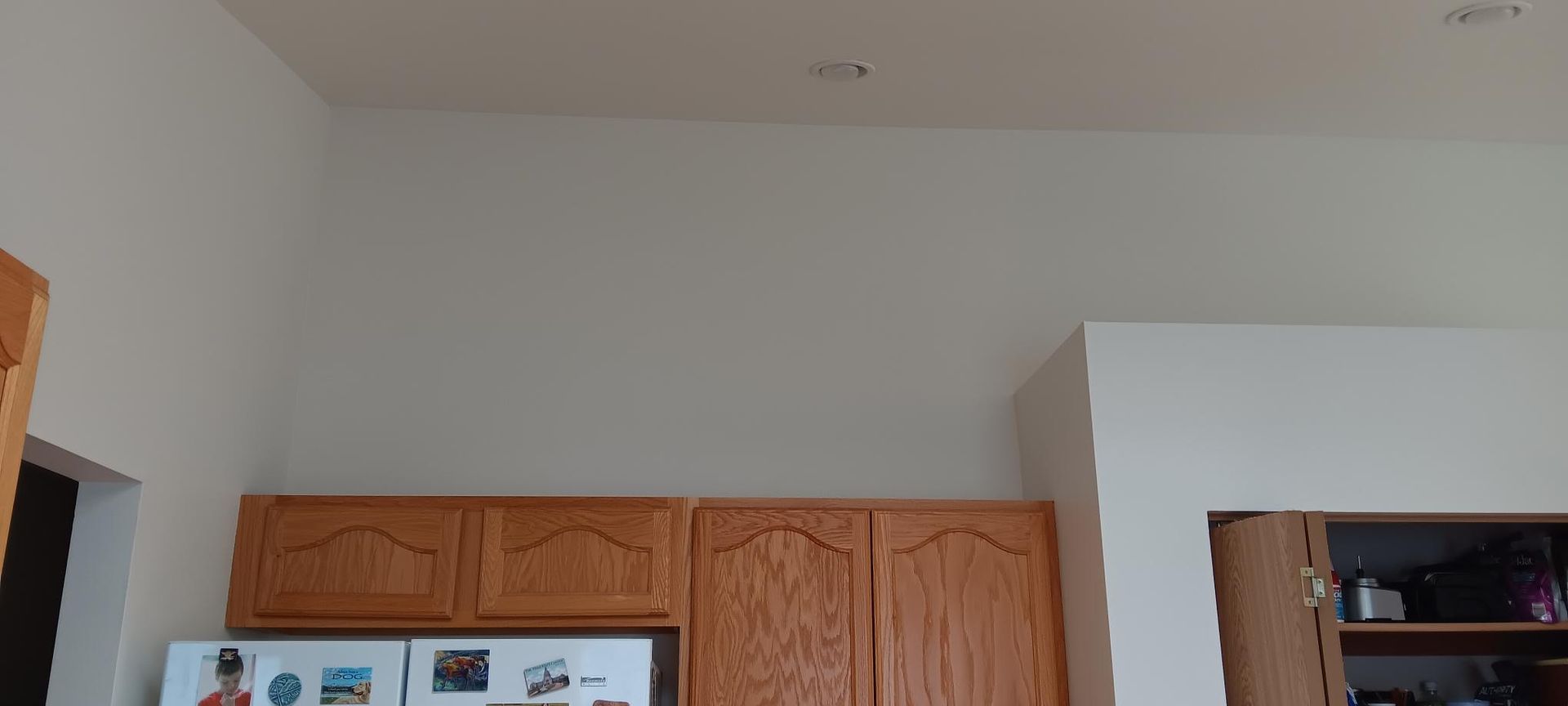 Gallery #02 — Olympia, WA — Birds Painting Company LLC