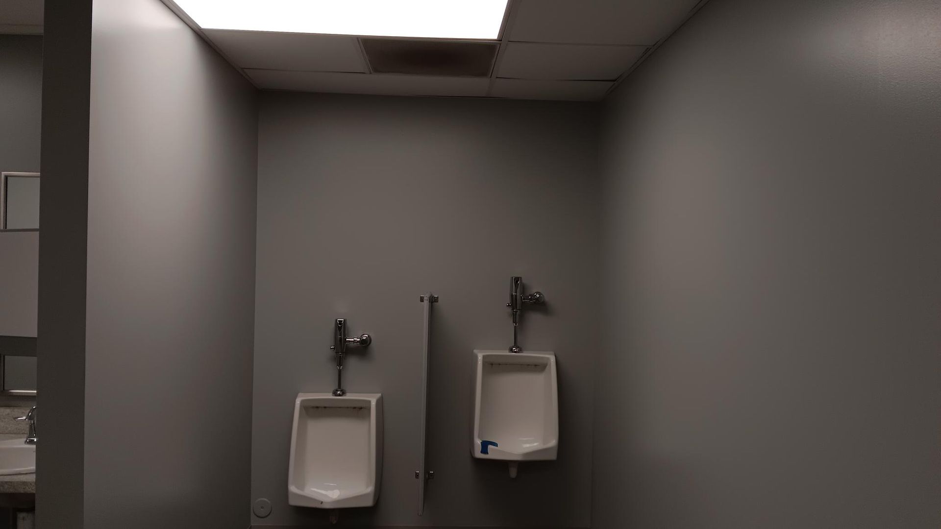 Gallery #03 — Olympia, WA — Birds Painting Company LLC