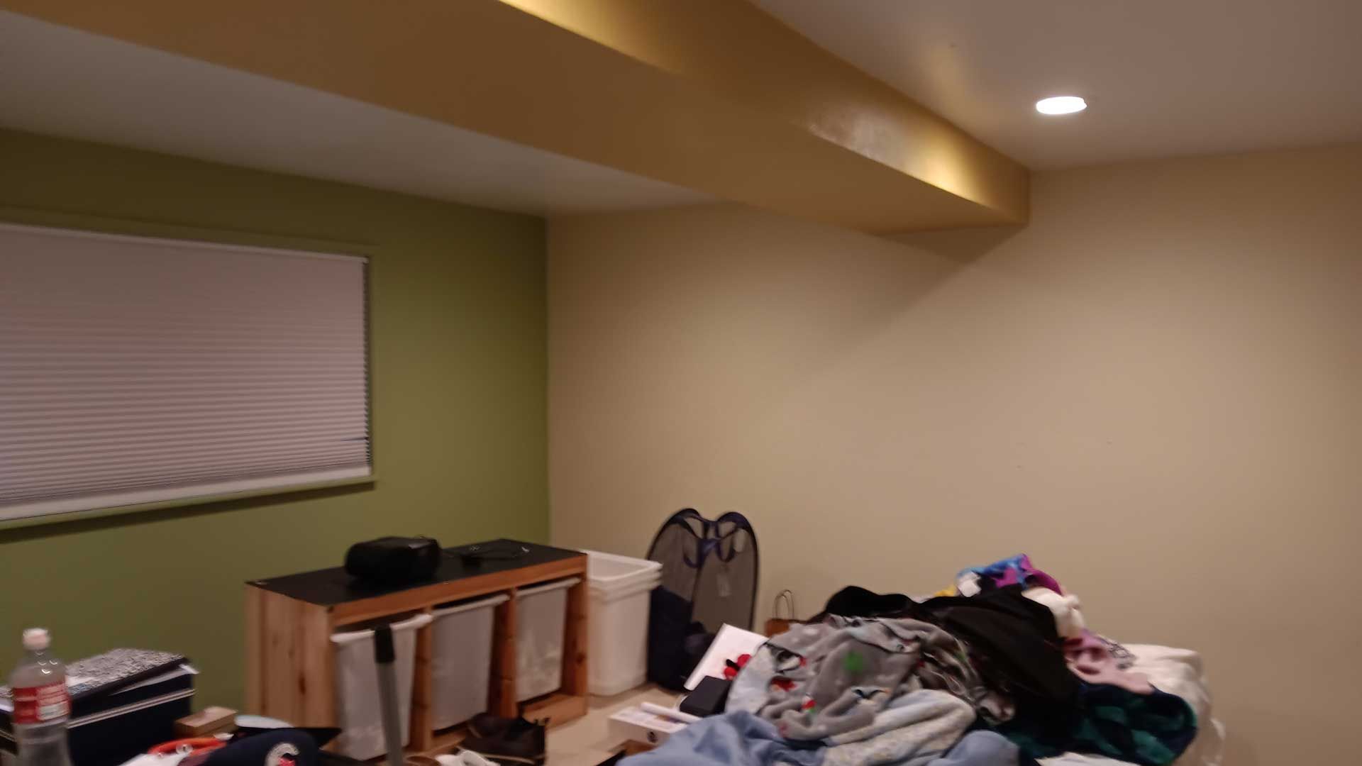 Gallery #20 — Olympia, WA — Birds Painting Company LLC