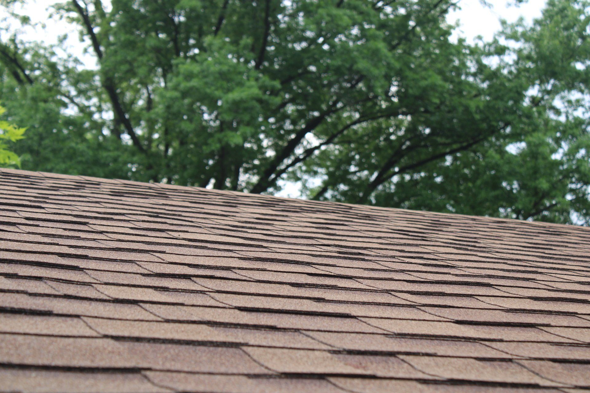 A close up of a roof with trees in the background