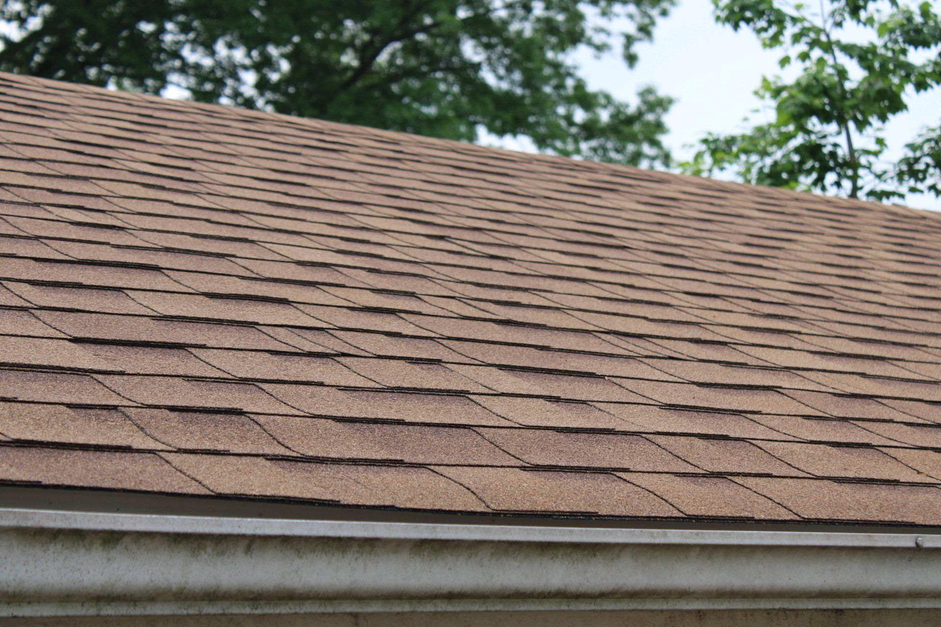 A close up of a brown roof with trees in the background.