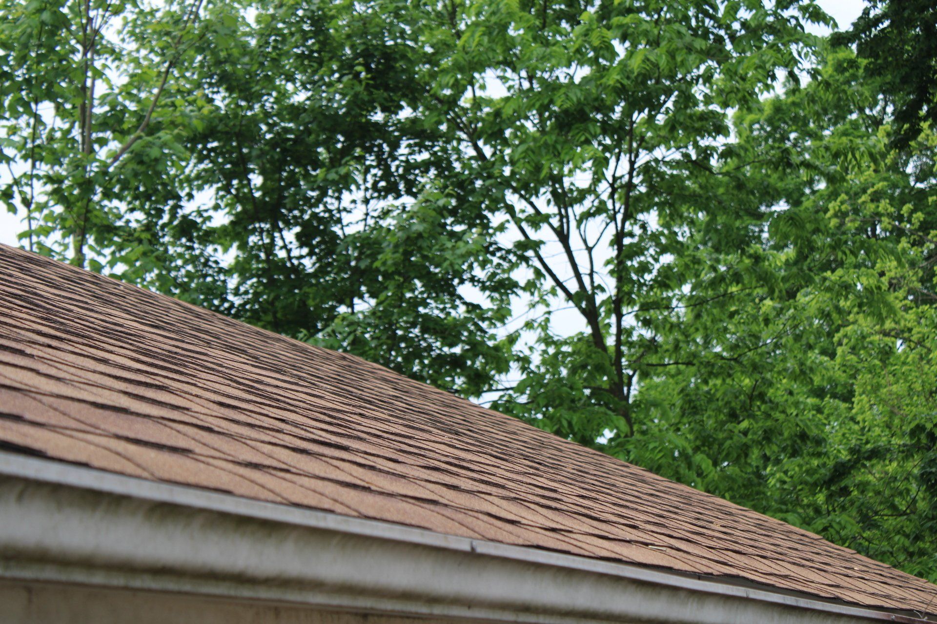 A close up of a roof with trees in the background