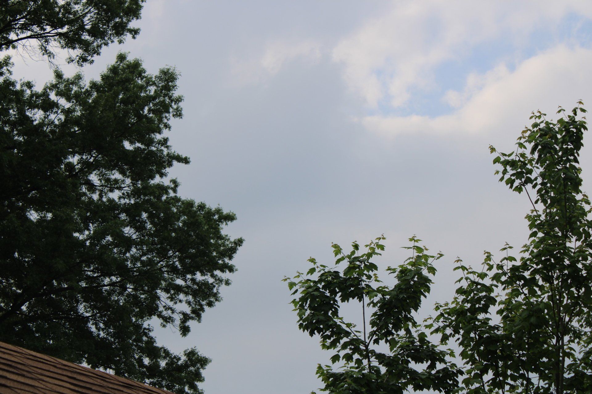 A cloudy sky with trees in the foreground