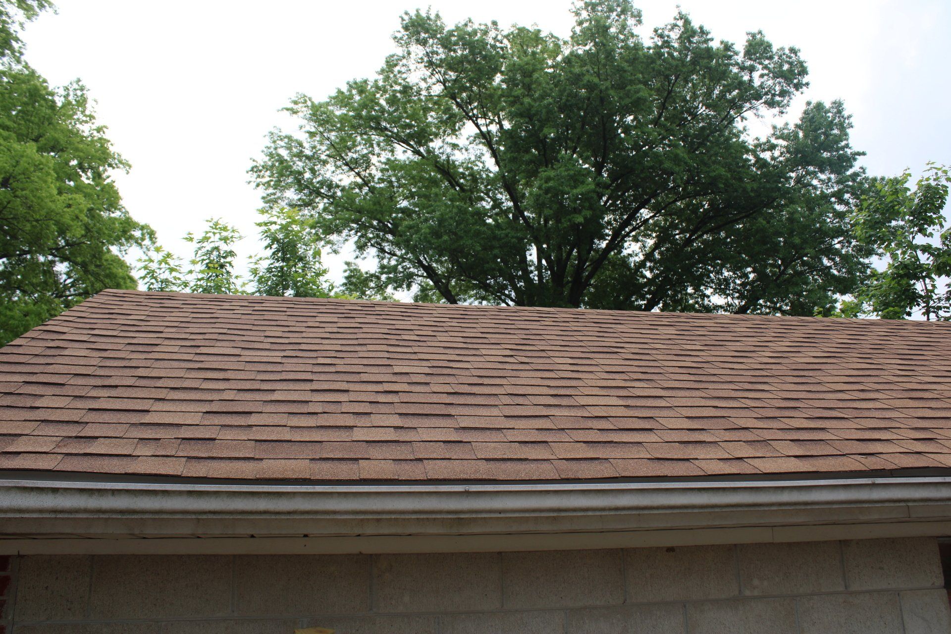A brown roof with a tree in the background
