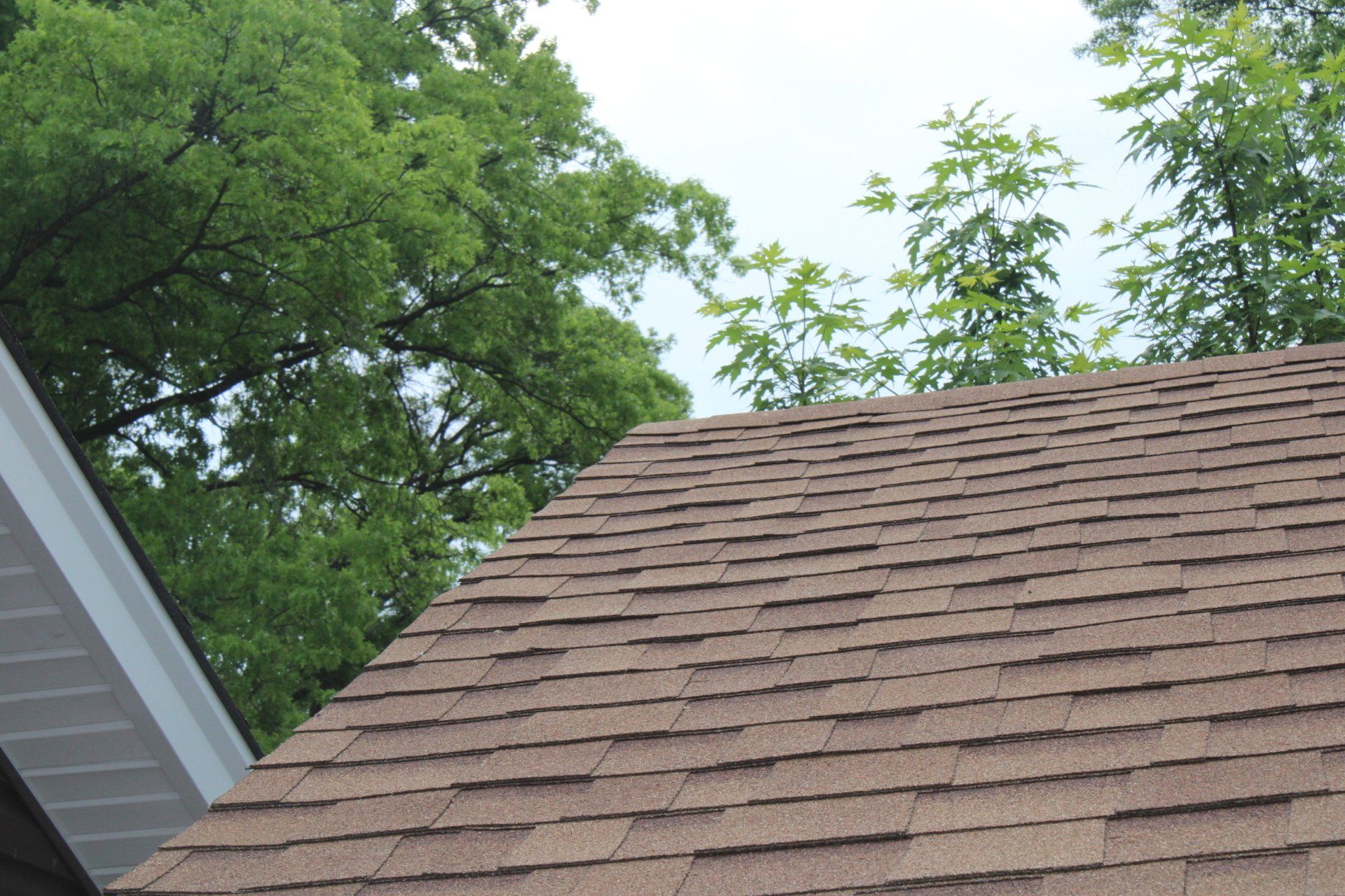 A close up of a roof with trees in the background
