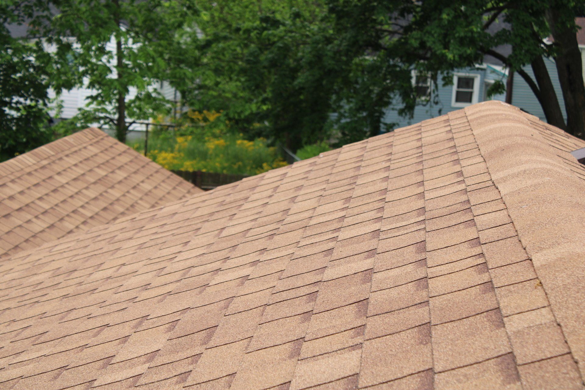 A close up of a roof with trees in the background