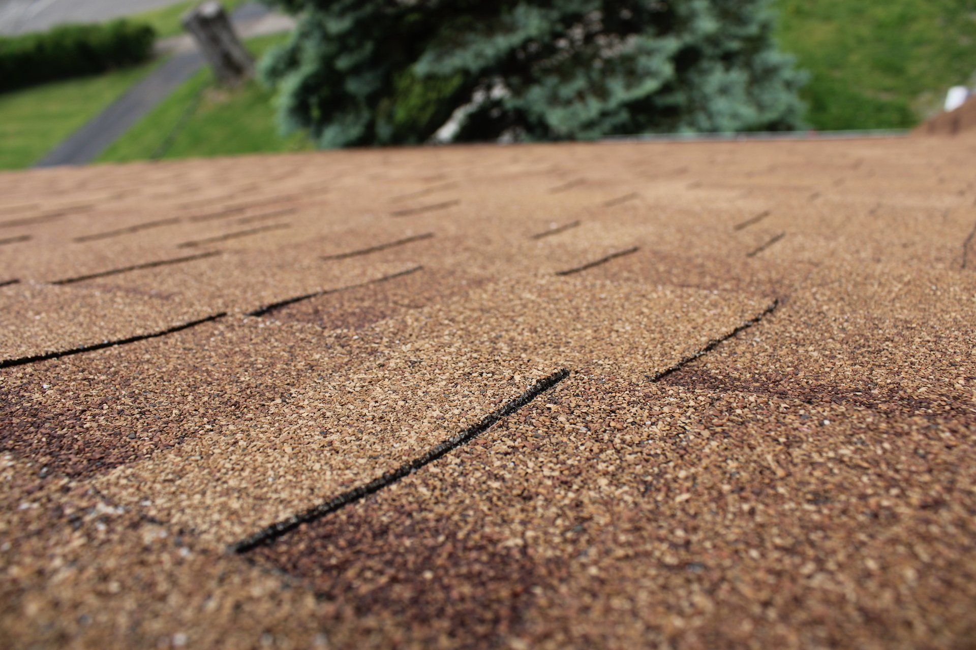 A close up of a roof with a tree in the background.