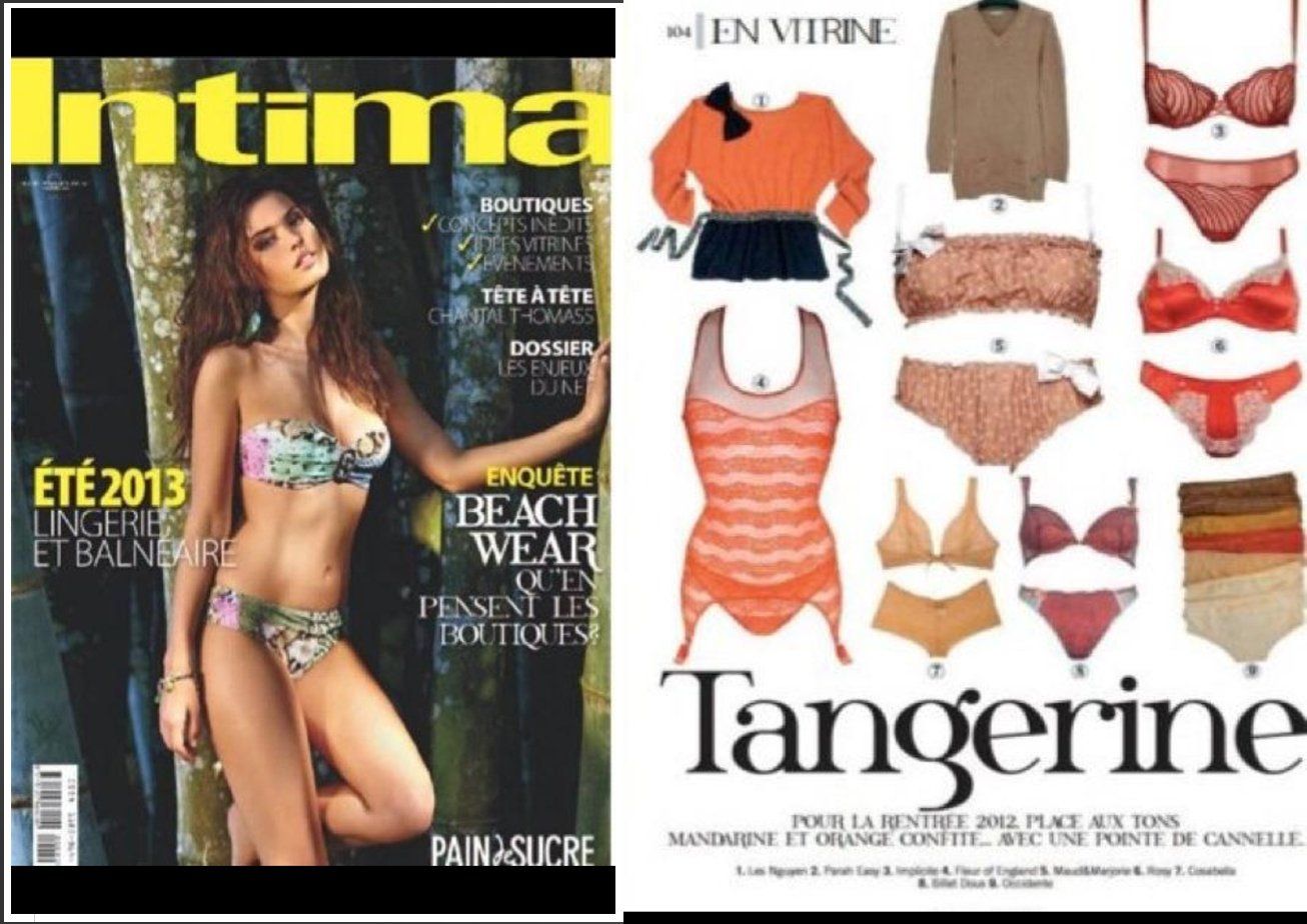 Une femme en bikini fait la couverture d'un magazine appelé intima