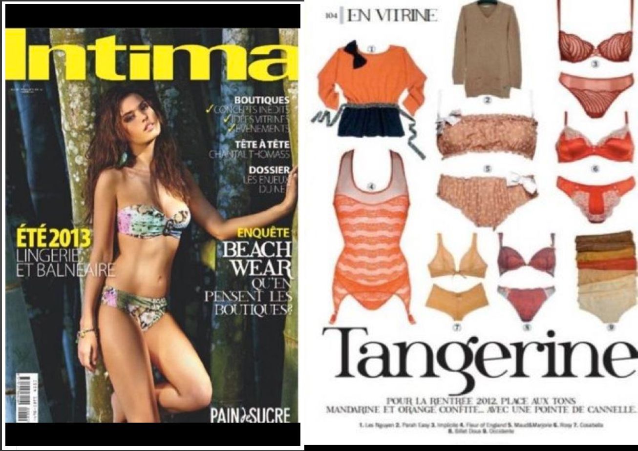 Une femme en bikini fait la couverture d'un magazine intima