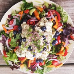 Rainbow Chicken Blueberry salad