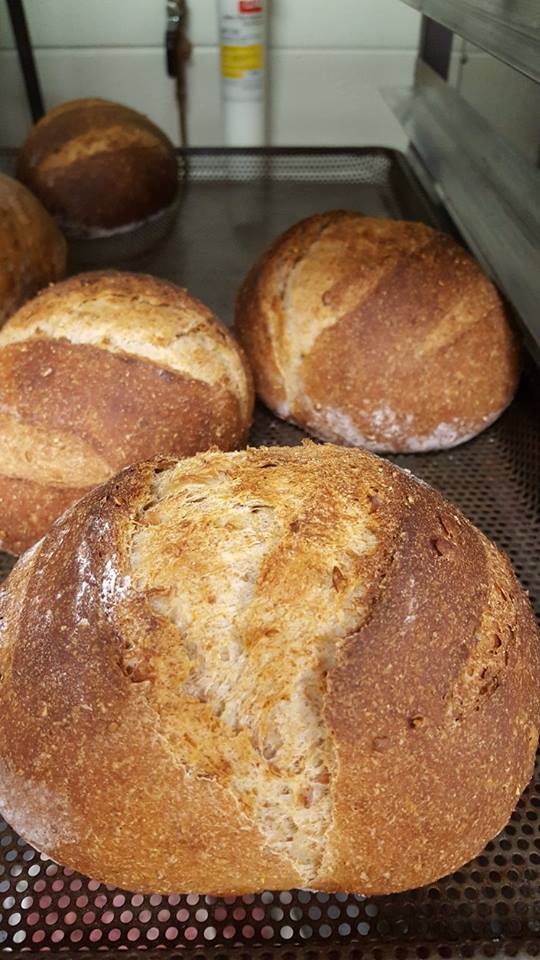 unflower seed round bread loaves