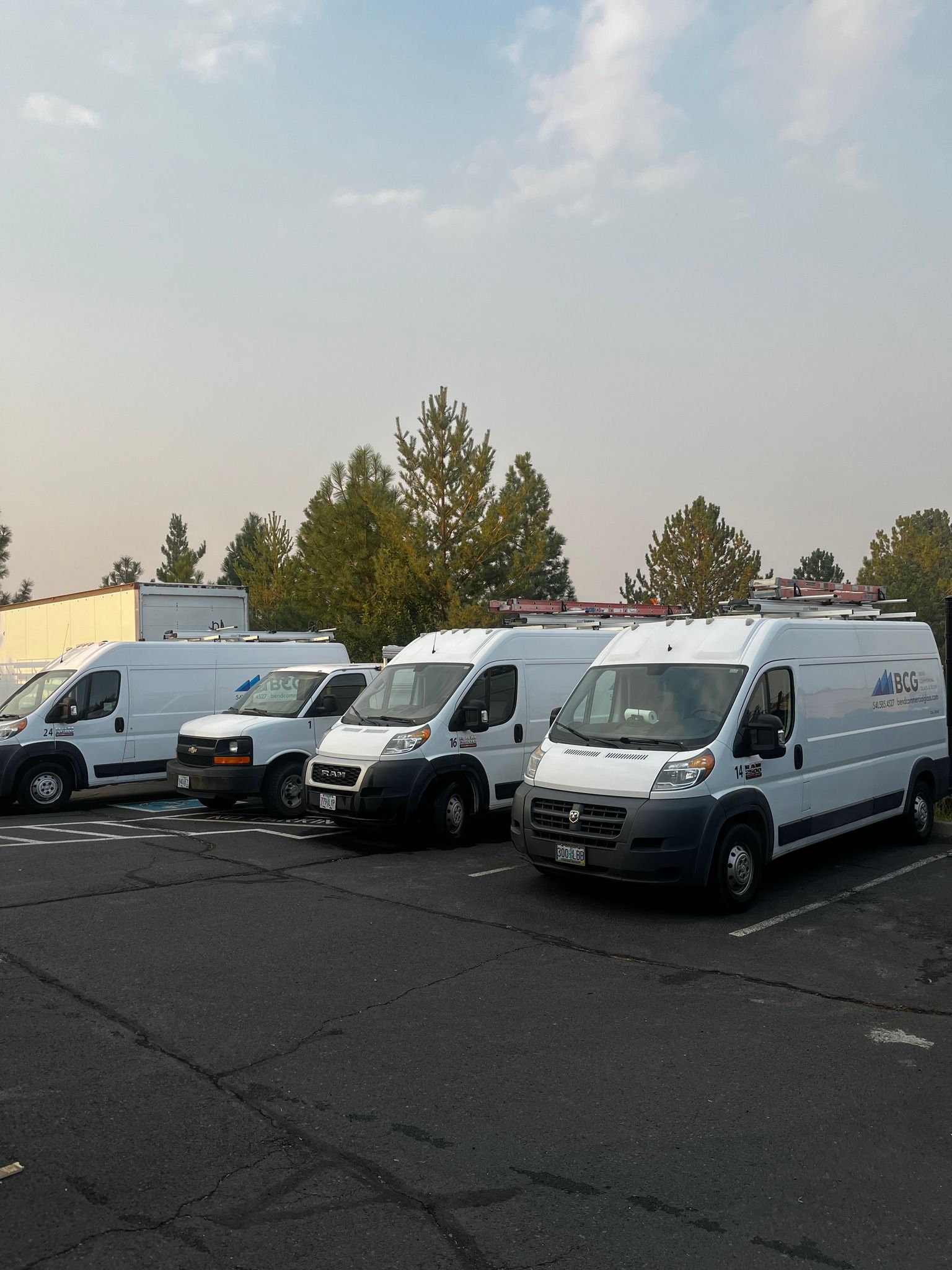 White service vans parked in a lot on a sunny day, trees and a building in the background.