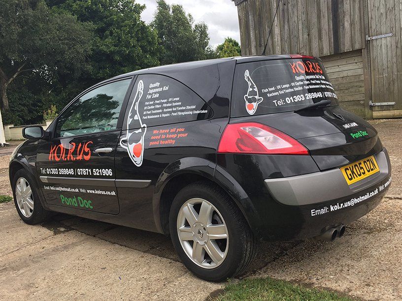 Vinyl graphics for hatchback