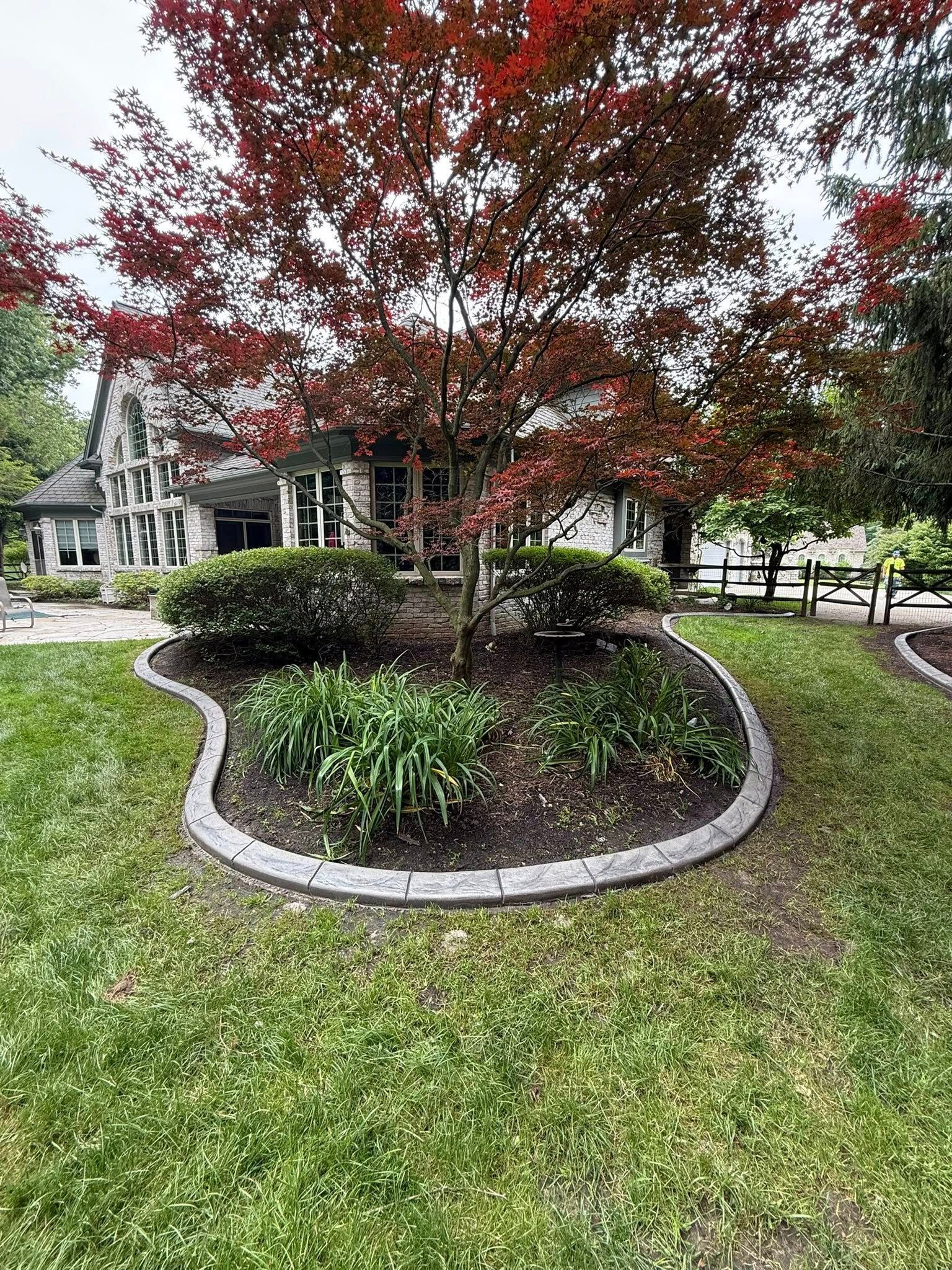 A red-leafed tree stands in a curved, stone-edged garden bed in front of a stone house with a lawn in the foreground.