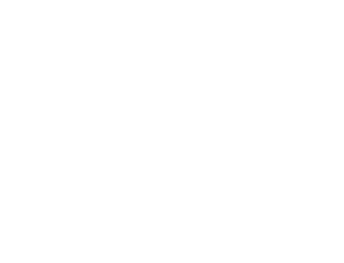 The logo for singleton electric shows a lightning bolt and a plug.