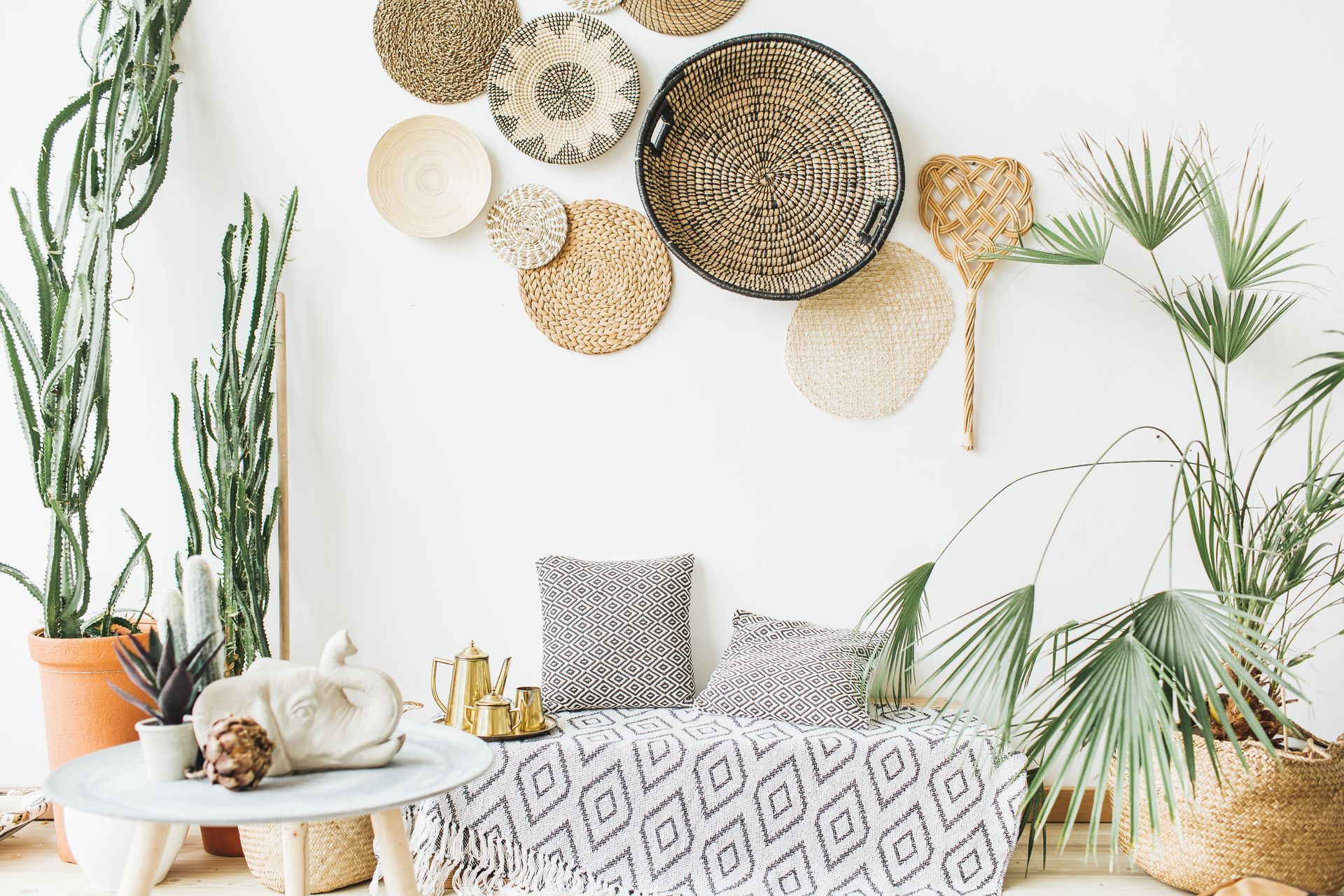 A living room filled with lots of plants and baskets on the wall.