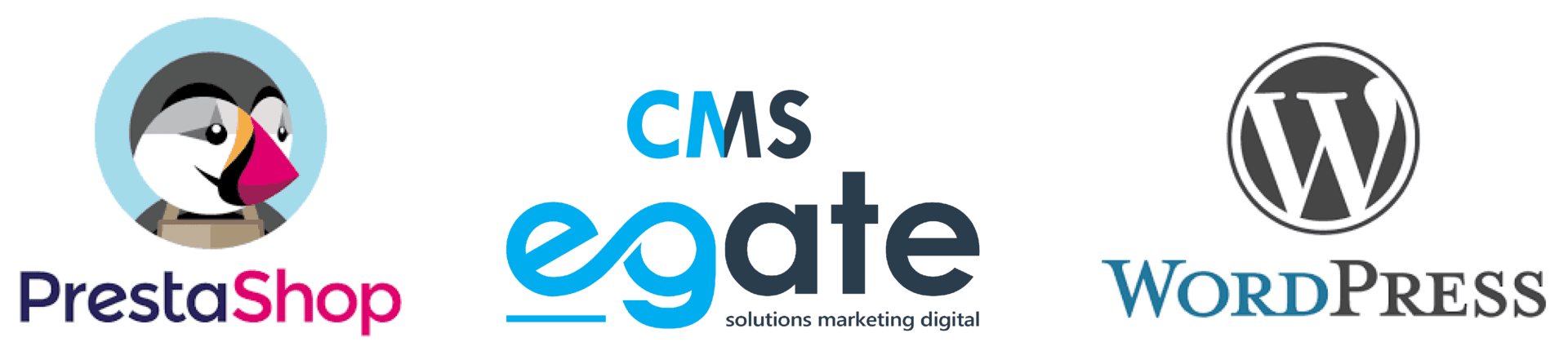 solutions site web cms