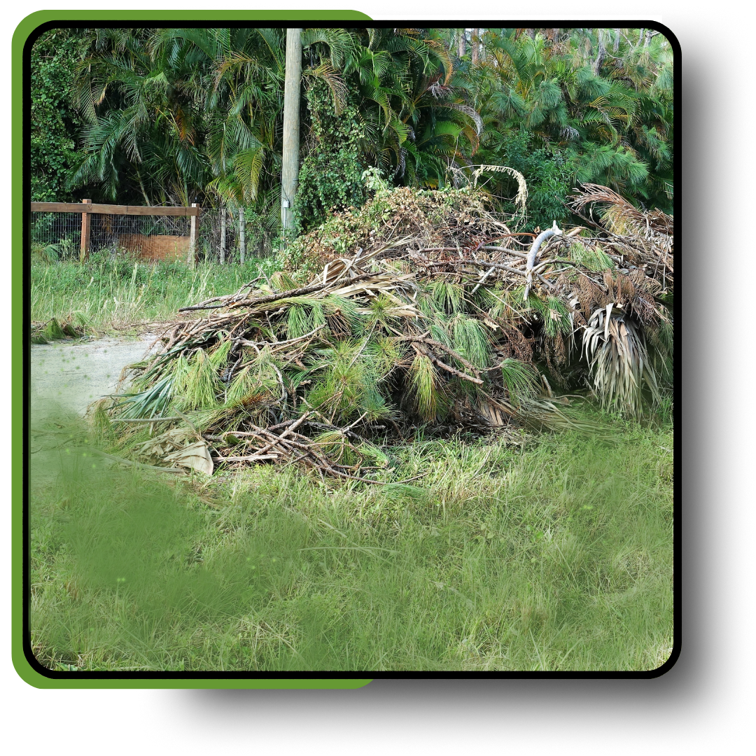 A pile of garbage