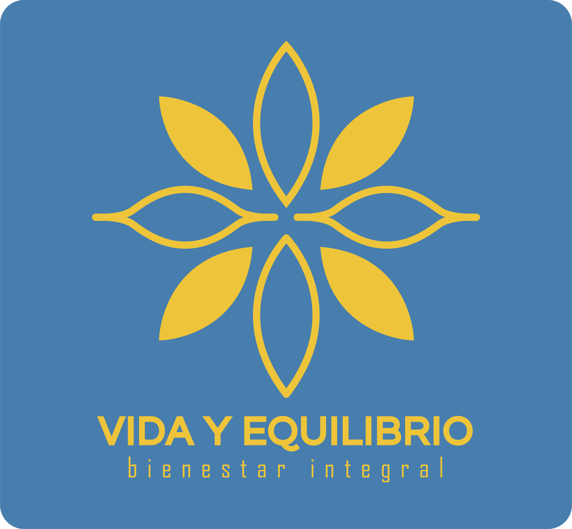 VIDA Y EQUILIBRIO LOGO