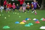 A group of children are playing soccer in a field with cones and balls.