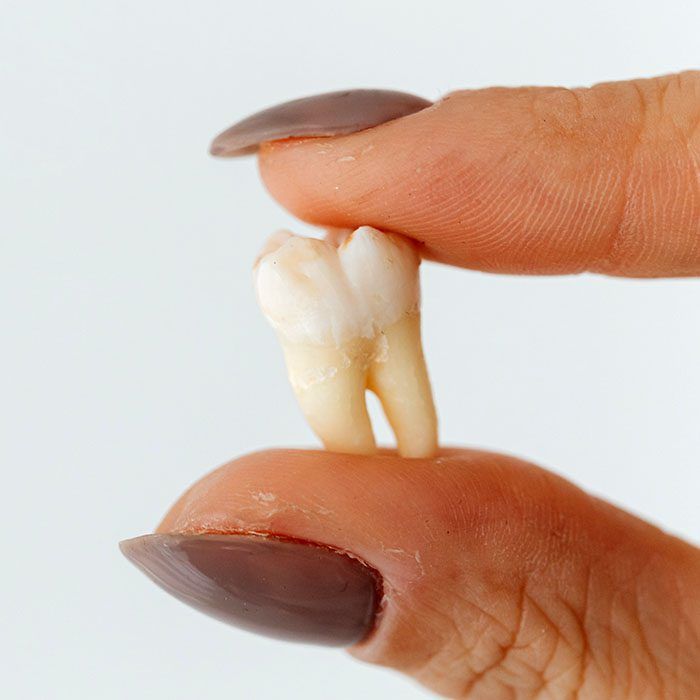 A tooth held between two fingers with long, painted nails, against a white background.