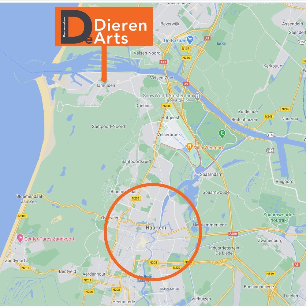 Dierenarts Haarlem