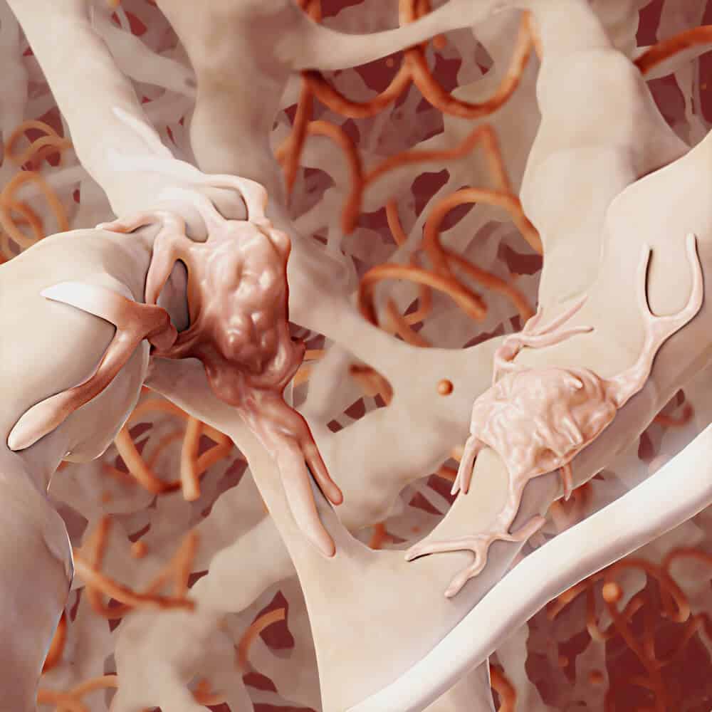 Uma imagem gerada por computador de um recife de coral